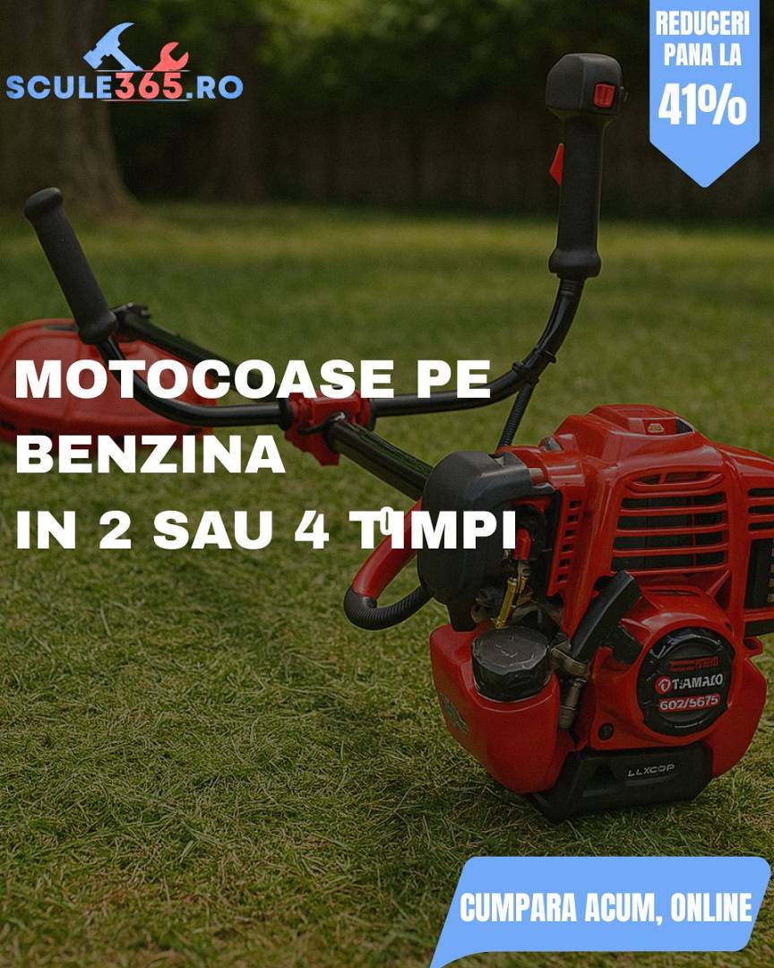 174915636_wp683d412c76dbd9.94771622